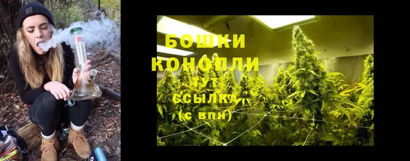 Бошки Шишки SATIVA & INDICA  ссылка на мегу зеркало  Белорецк  мориарти формула  дарнет шоп 